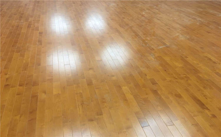 舞蹈教学室专用木地板