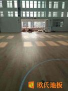 枫木运动木地板与北京枫桦木运动木地板若何辨别？